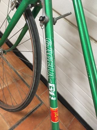 Bicicleta Gacela Verde