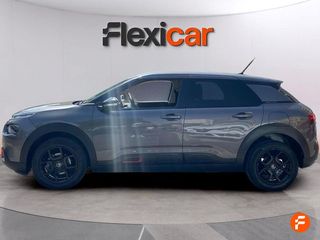 Citroën C4 Cactus PureTech 81KW (110CV) S&S EAT6 Feel