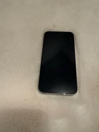 iPhone 13 Pro nero/argento