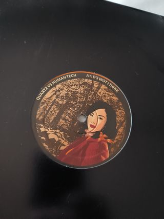 Lote Vinilos Techno y Minimal Techno