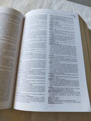 Diccionario euskera castellano elhuyar