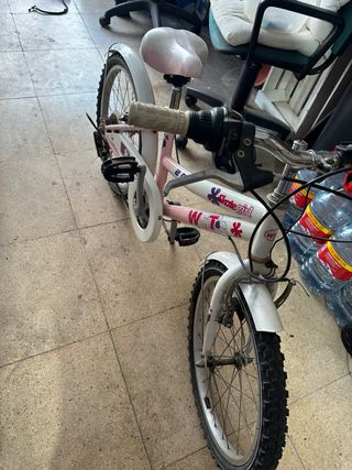 Bicicleta Niña Skate Girl WST Rosa