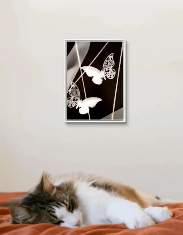 Cuadro lámina fotográfica. Mariposas ARTENERY