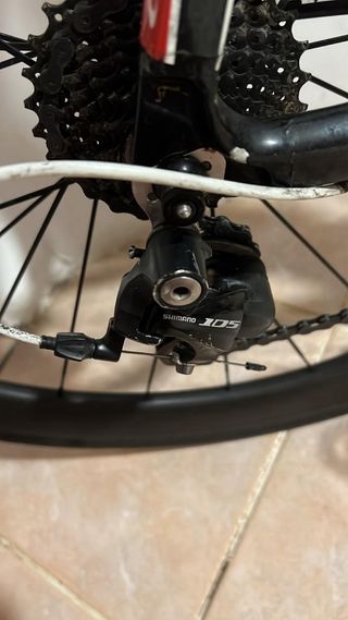Orbea Orca con Ruedas Carbono Talla 188-195cm