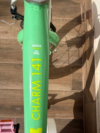Bicicleta Niña 4-6 Años Verde/Rosa