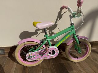Bicicleta Niña 4-6 Años Verde/Rosa