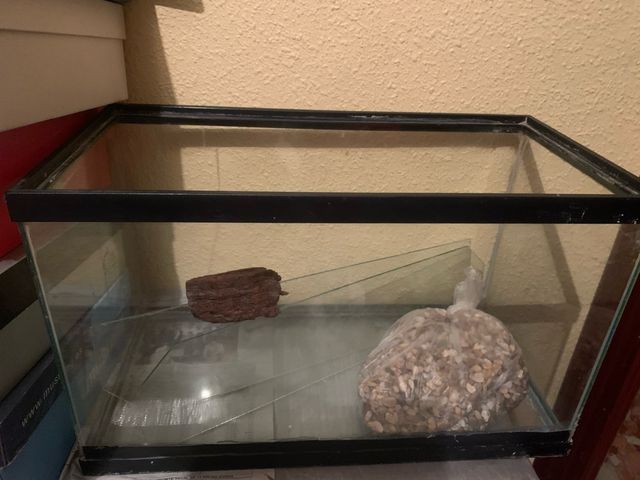 Acuario de cristal con accesorios