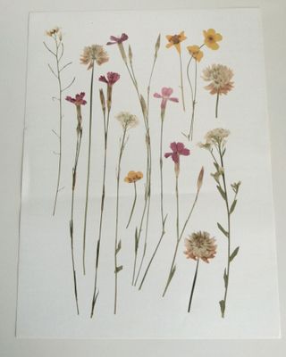 GRATIS/REGALO Lámina flores secas 30x40cm