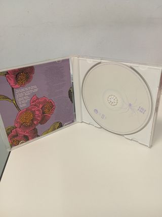 CD Bebé - Pafuera Telarañas