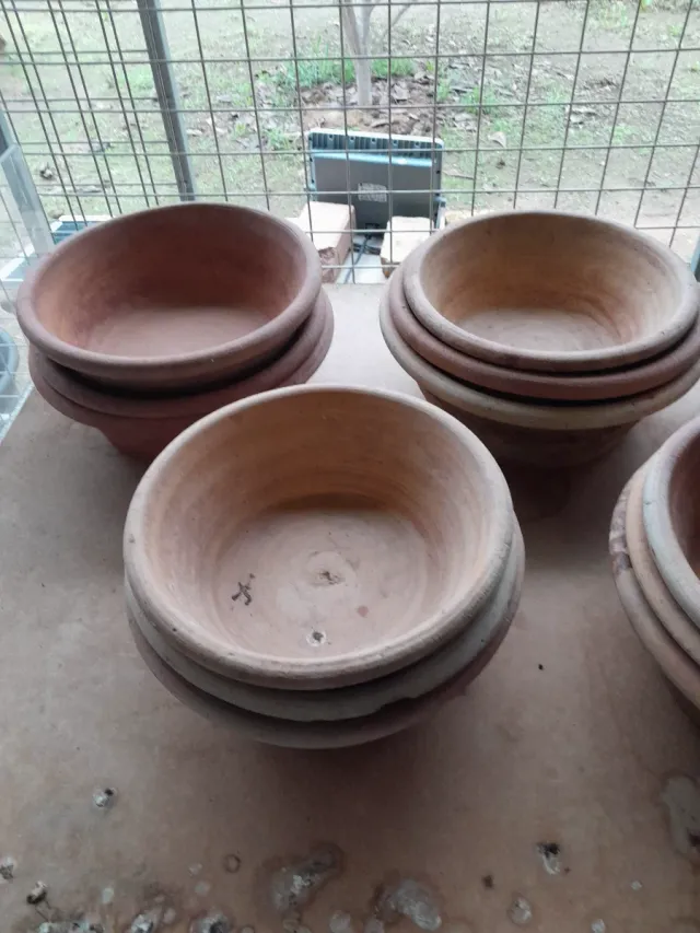 Ponederos Palomos y Comederos Gallinas