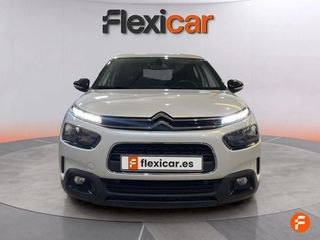Citroën C4 Cactus PureTech 110 S&S Feel