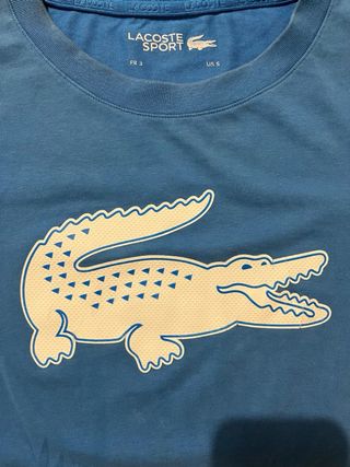 Camiseta Lacoste Azul Cocodrilo