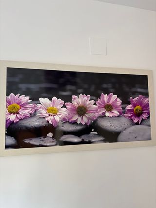Cuadro Flores Rosas y Piedras Negras