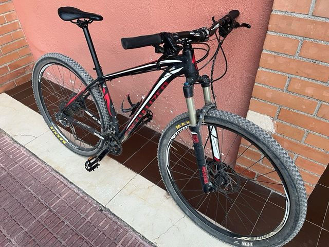 Bicicletta Specialized 29'
