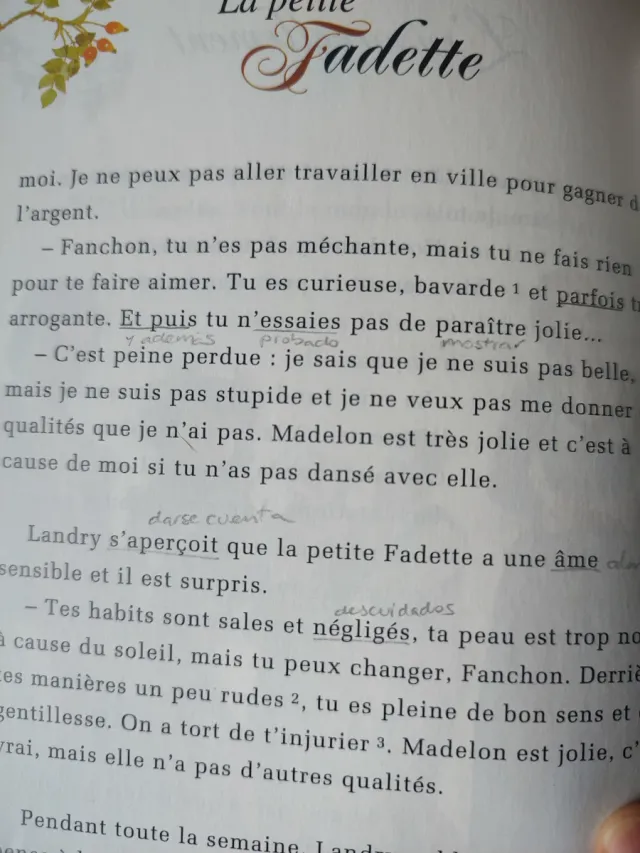 La Petite Fadette. Le Chat Noir.
