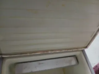 Nevera Portátil Eléctrica 12V/220V