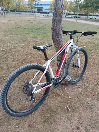 Bicicleta Specialized Hardrock 29 Sport