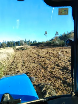 Ofrezco servicios trabajos agricolas