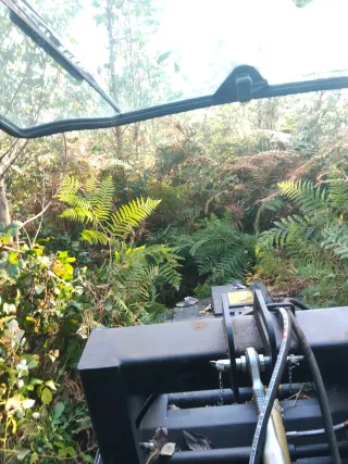 Ofrezco servicios trabajos agricolas