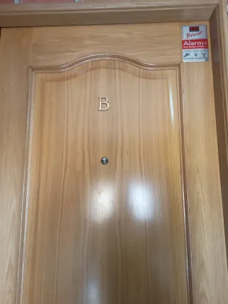 OFERTA Puerta de entrada madera