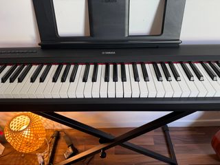 Yamaha Piaggero NP-15 and Pure Gewa stand together