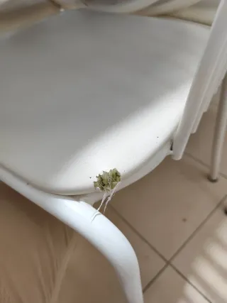 Mesa de cocina extensible y 4 sillas