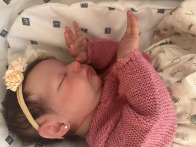 Muñeca Reborn y Coche Capota