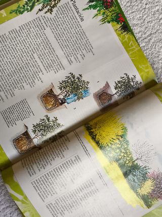LAS PLANTAS Y LOS JARDINES. LIBRO DE ORO.