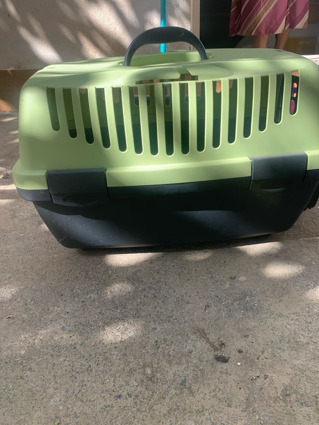 Transportín perro gris y verde