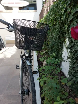 Bicicleta Paseo BH London