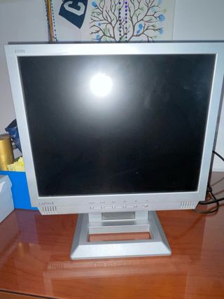Monitor Vintage Captiva E1702 Plata