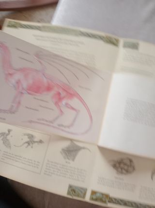 Dragones. El gran libro de los dragones (Spanis...
