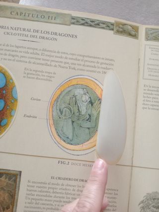 Dragones. El gran libro de los dragones (Spanis...