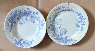 2 piatti antichi con fiori blu