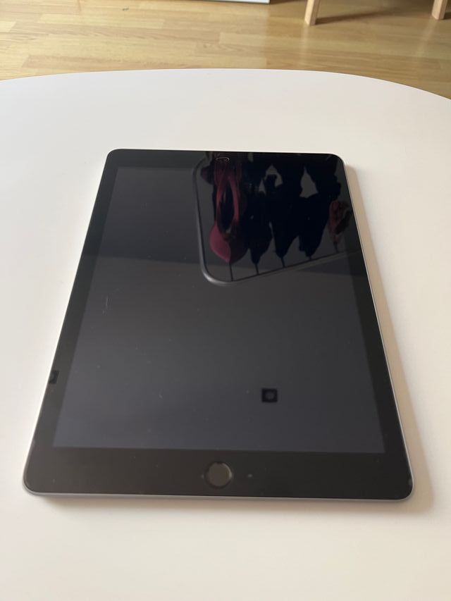 iPad 5ª Gen 32GB Plata + regalo funda azul