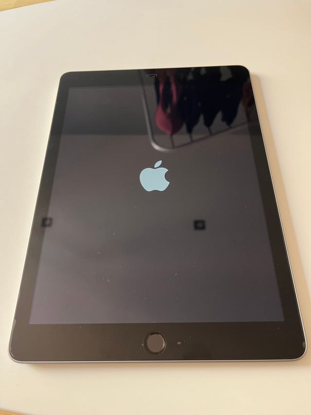 iPad 5ª Gen 32GB Plata + regalo funda azul