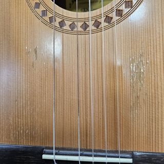 Guitarra Clasica Raimundo Modelo 103-M