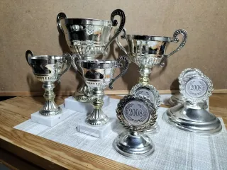Lote 8 Trofeos Plata y Dorado