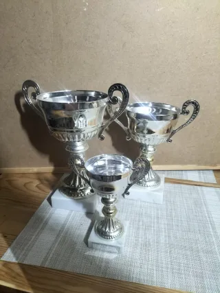 Lote 8 Trofeos Plata y Dorado