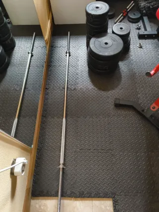 Barra Gimnasio + Discos Pesas
