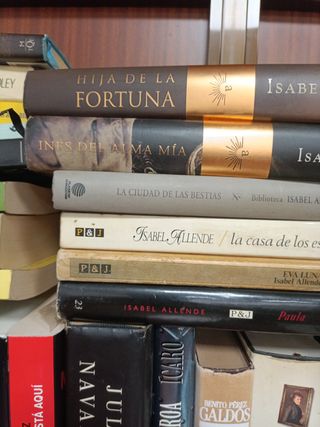 La hija de la fortuna 5 novelas más