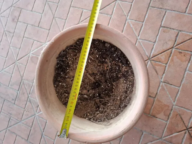 Maceta de barro grande