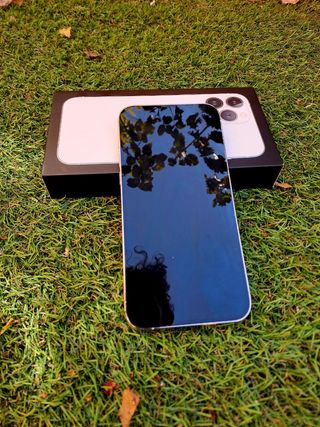 iPhone 13 Pro Max Bianco Argento