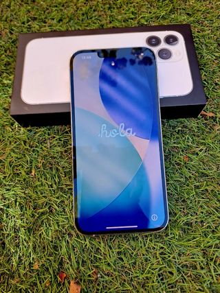 iPhone 13 Pro Max Bianco Argento