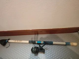 Caña de pescar con carrete