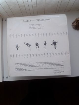 Vinilo Dr. Livingstone, supongo