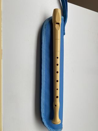 Flauta con funda azul