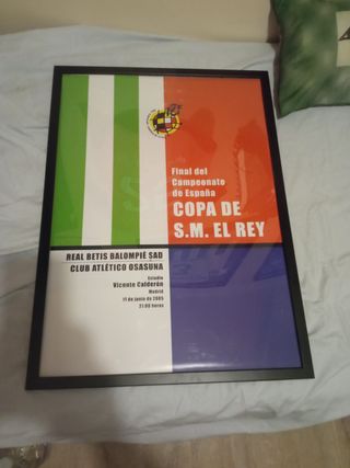 Reproducción Final Copa del Rey 2005