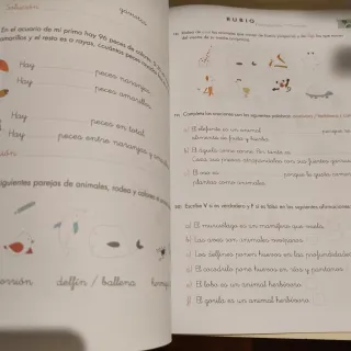 Vacaciones RUBIO (1.º de Primaria)