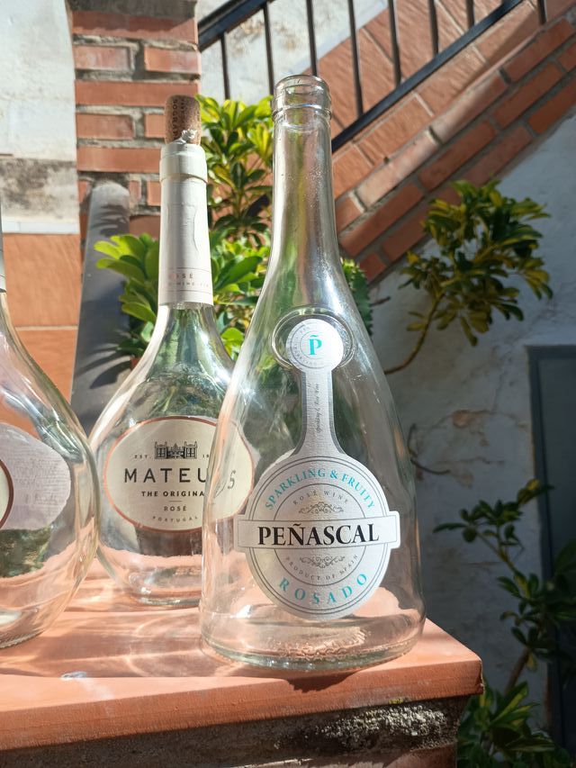 Botellas de vino decorativas (3 unidades)